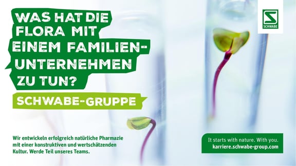 Schwabe-referenz-milch-und-zucker-agency-Schwabe_Motiv-02-min