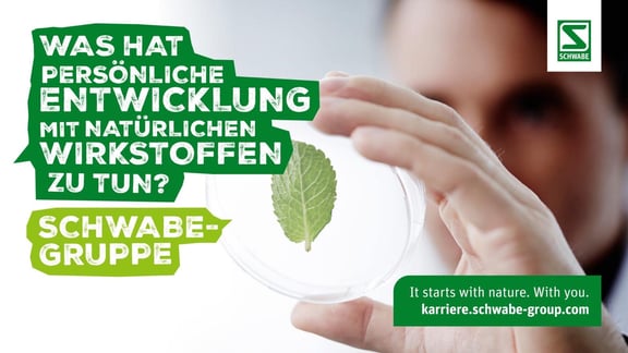 Schwabe-referenz-milch-und-zucker-agency-Schwabe_Motiv-Präsentation-min