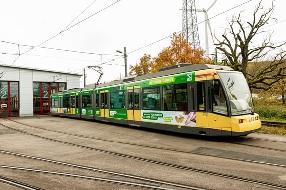 KVV_9778_Schwabe_KVV-012-min